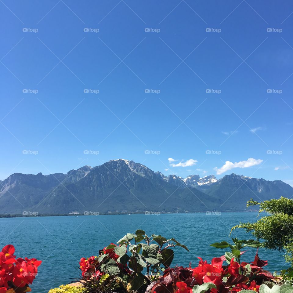 Lake Geneva in Switzerland 