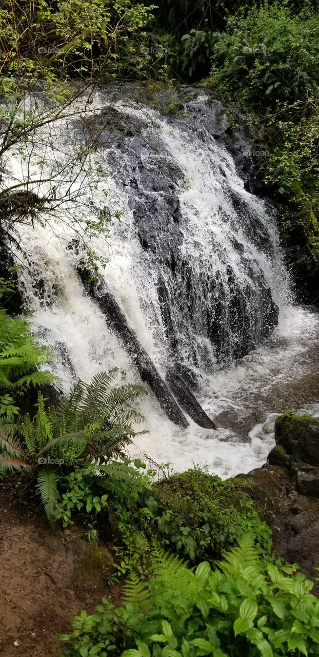Waterfall in Mckinleyville Ca