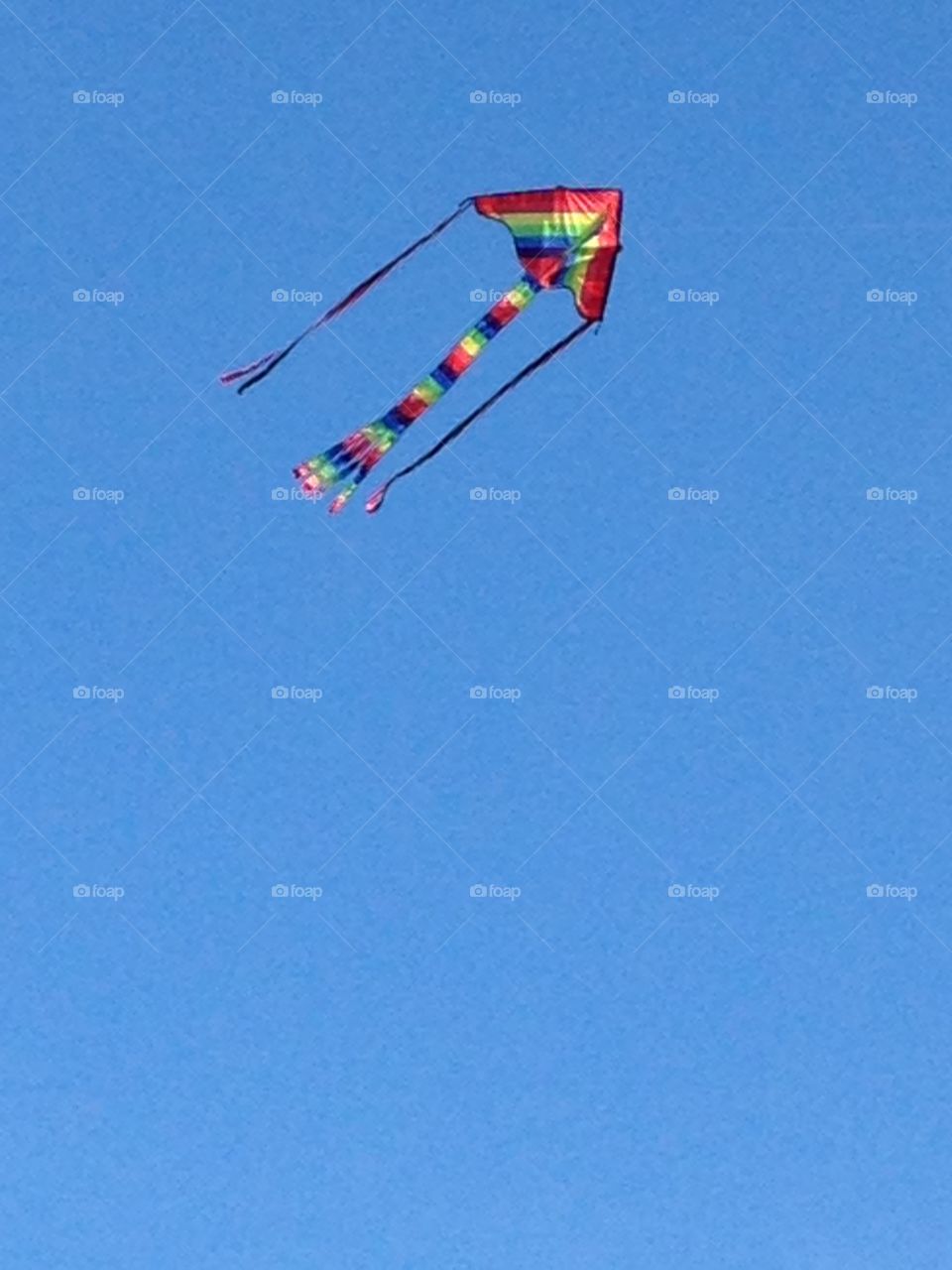 Kite in Sky, Swansea