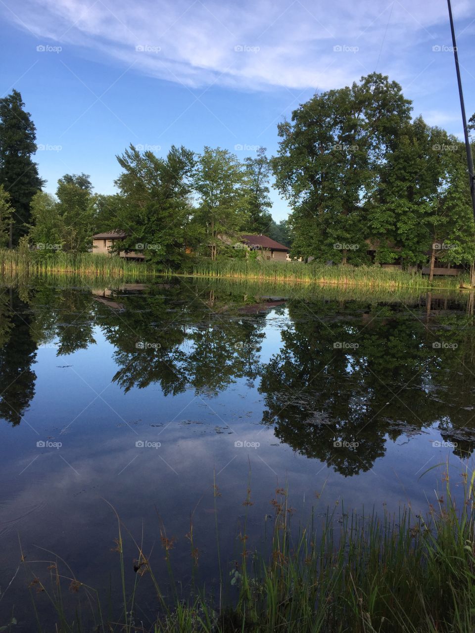 Lake, Reflection, Water, Landscape, Tree
