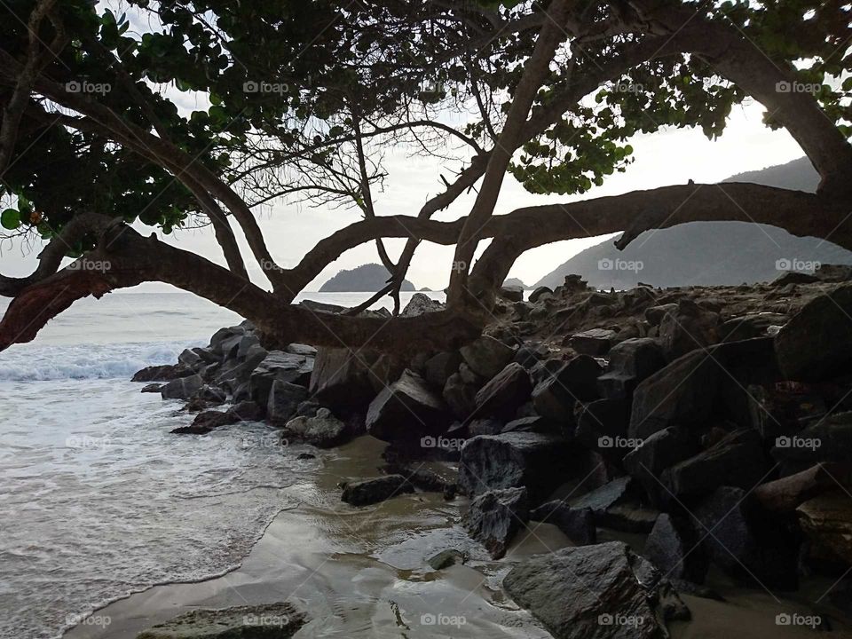 atardecer en la playa