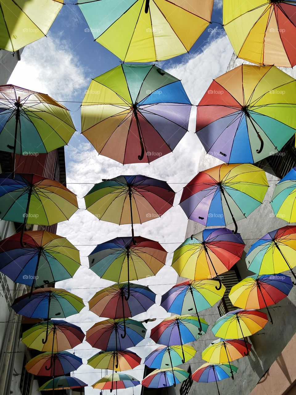 Decoration umbrellas.