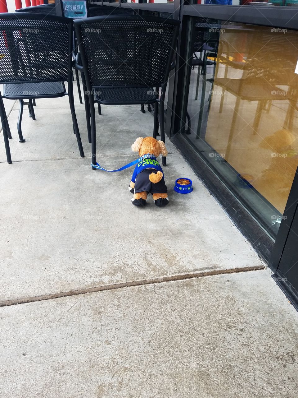 Little stuffed pup is leashed to chair leg with food dish near by, while his owner steps inside a local business.