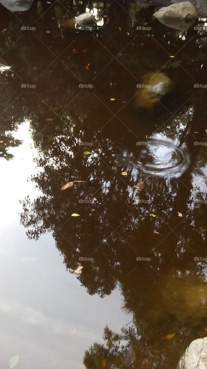 Reflection artificial lake . Prom at park 