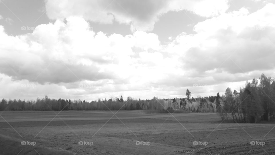 nature black and white