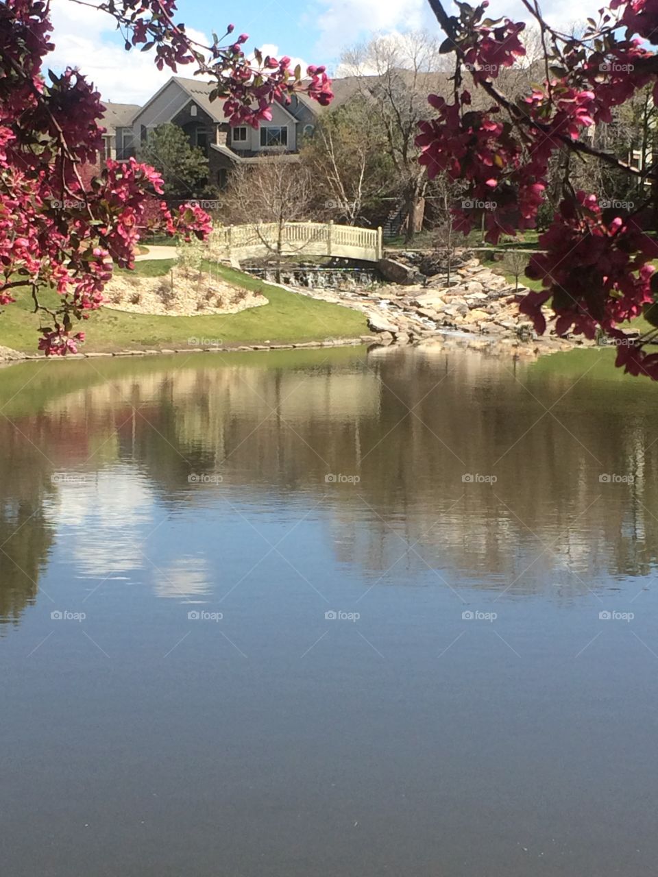 Reflecting Pond 