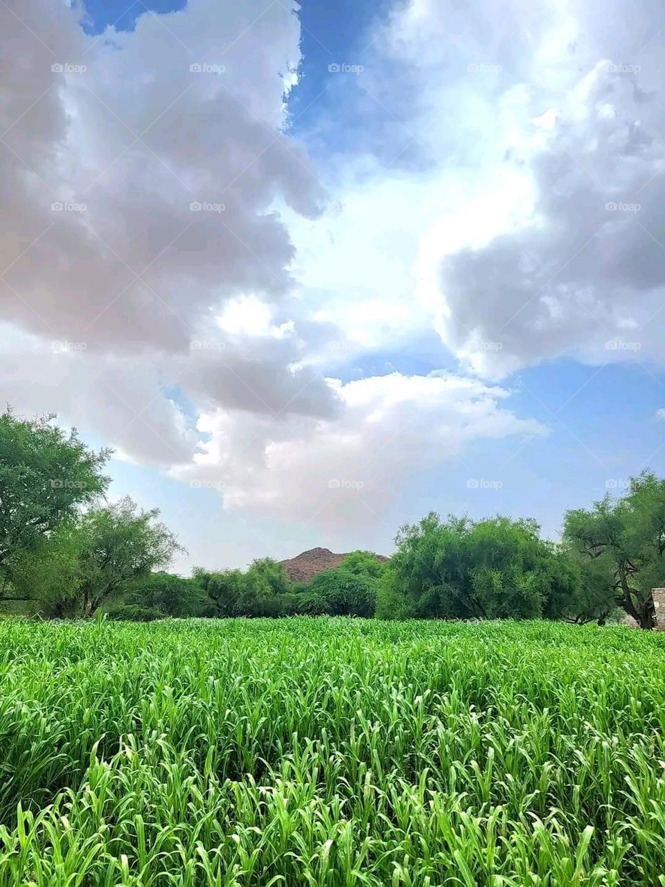 Glory be to God, the magnificent and picturesque view and the natural green trees are a view that is nothing more wonderful than it