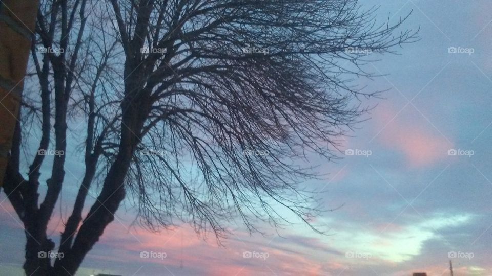pink sky 2018 December 15th Saturday