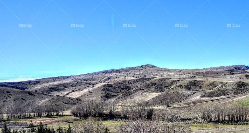 A wild mountain scenery is desolate, fortunately, the front of trees, grass are alive and beautiful.