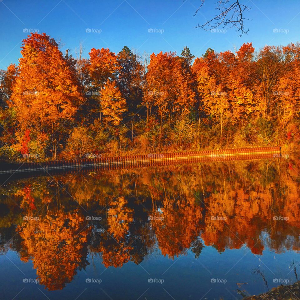 Autumn trees reflected on idyllic lake