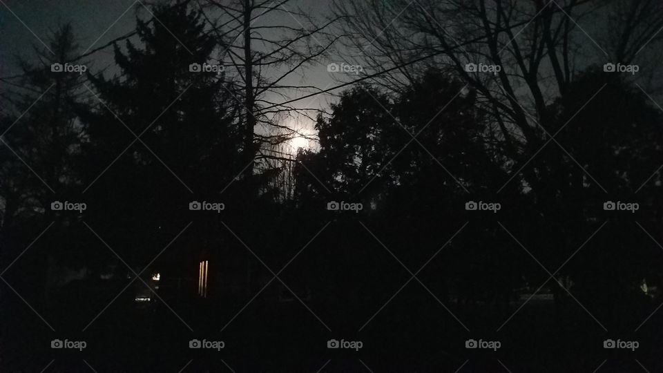 before the sun, Black Friday