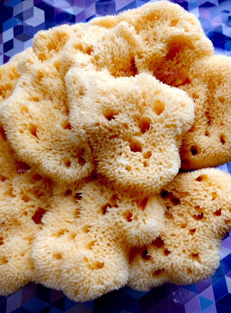 Close-up of bath sponge