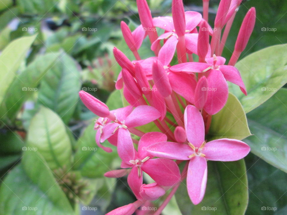 Some are late bloomer!!!!!