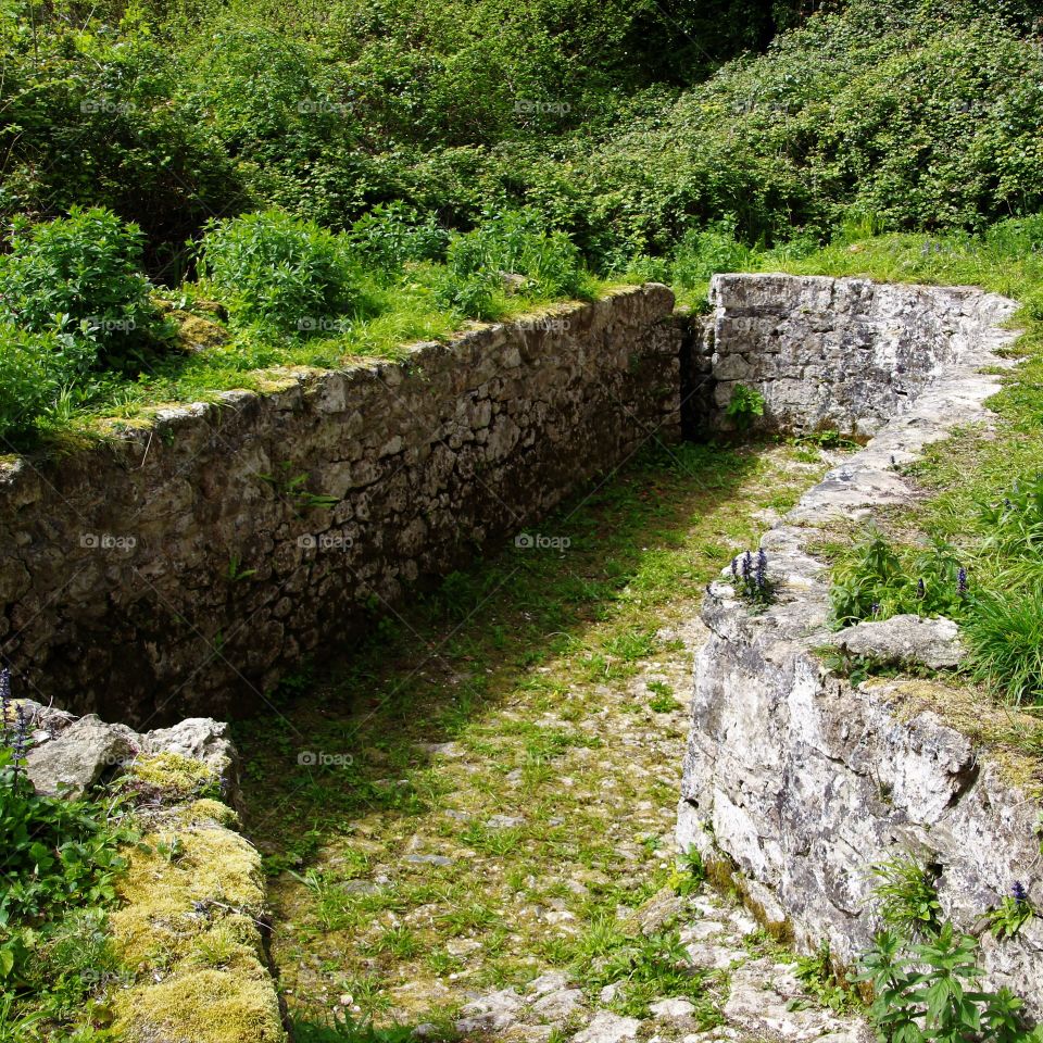 Sheep dip remains found in the middle of dense woodland.