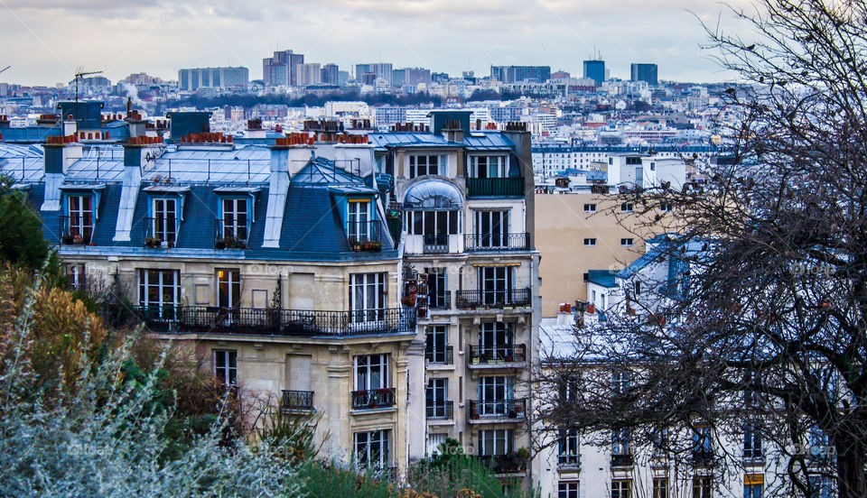 Haussmann architecture of Paris fronts this view of the city in winter