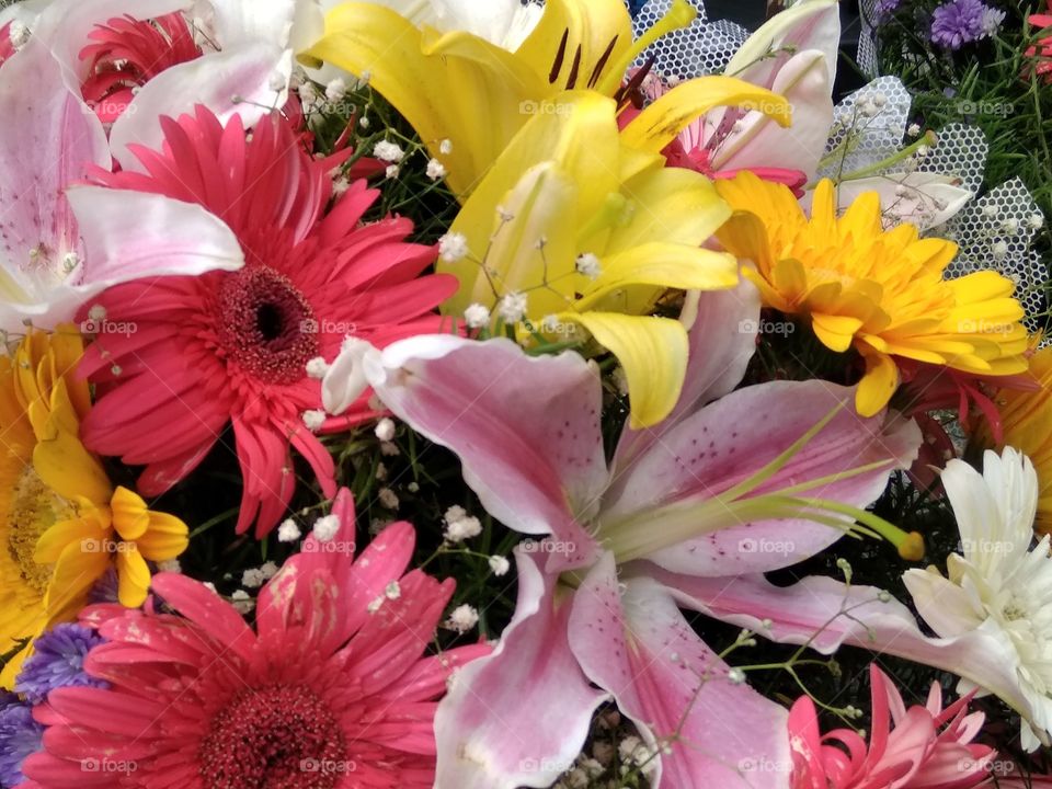 mixed flowers