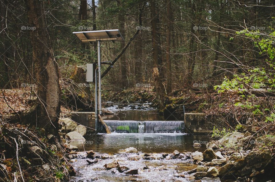 Wood, Water, Fall, Stream, Tree