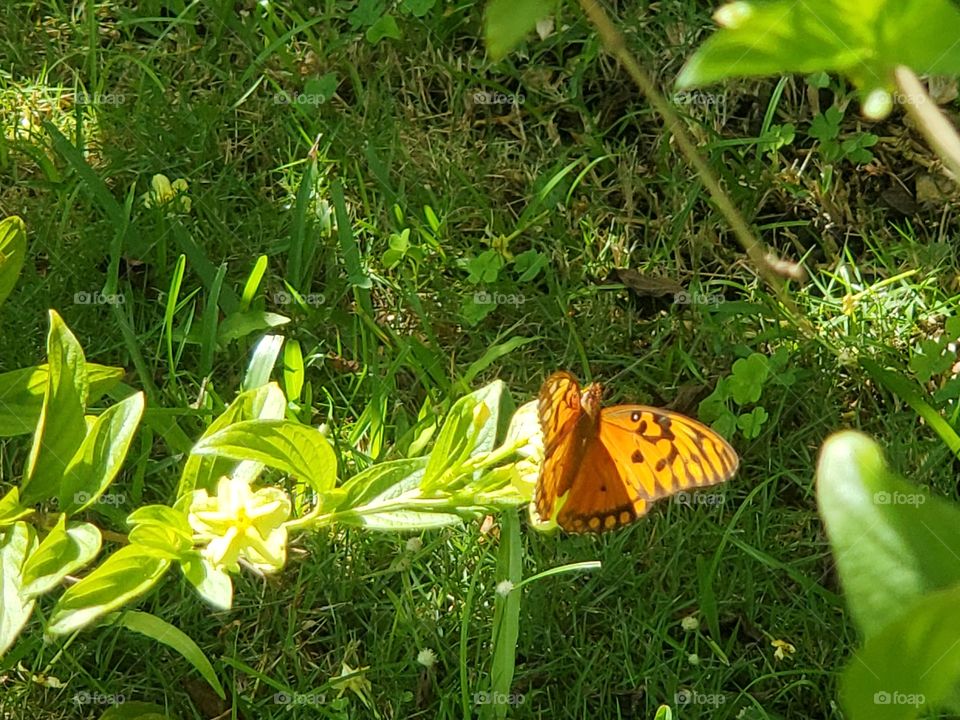 wonderful mother nature