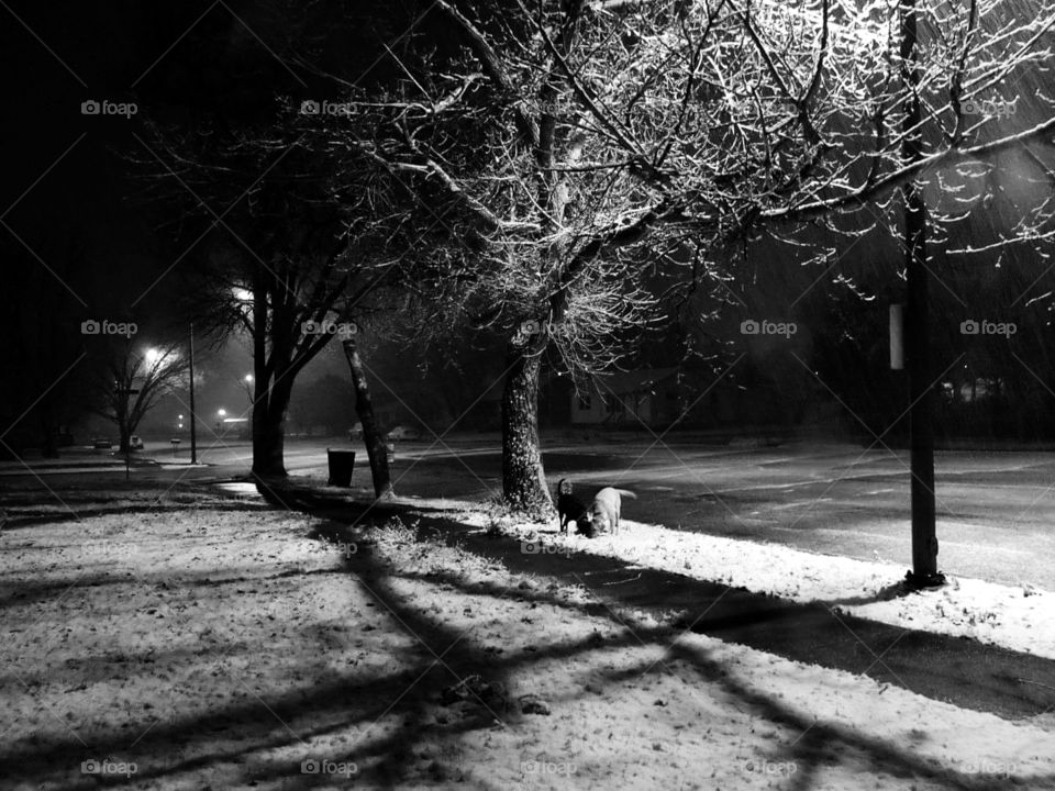 Street light shining down