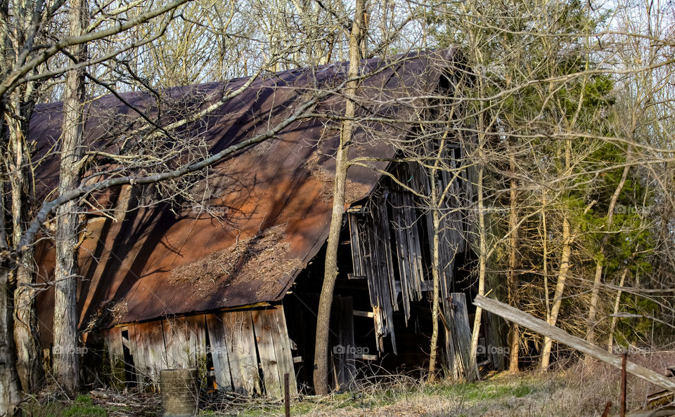 Old Barn 
