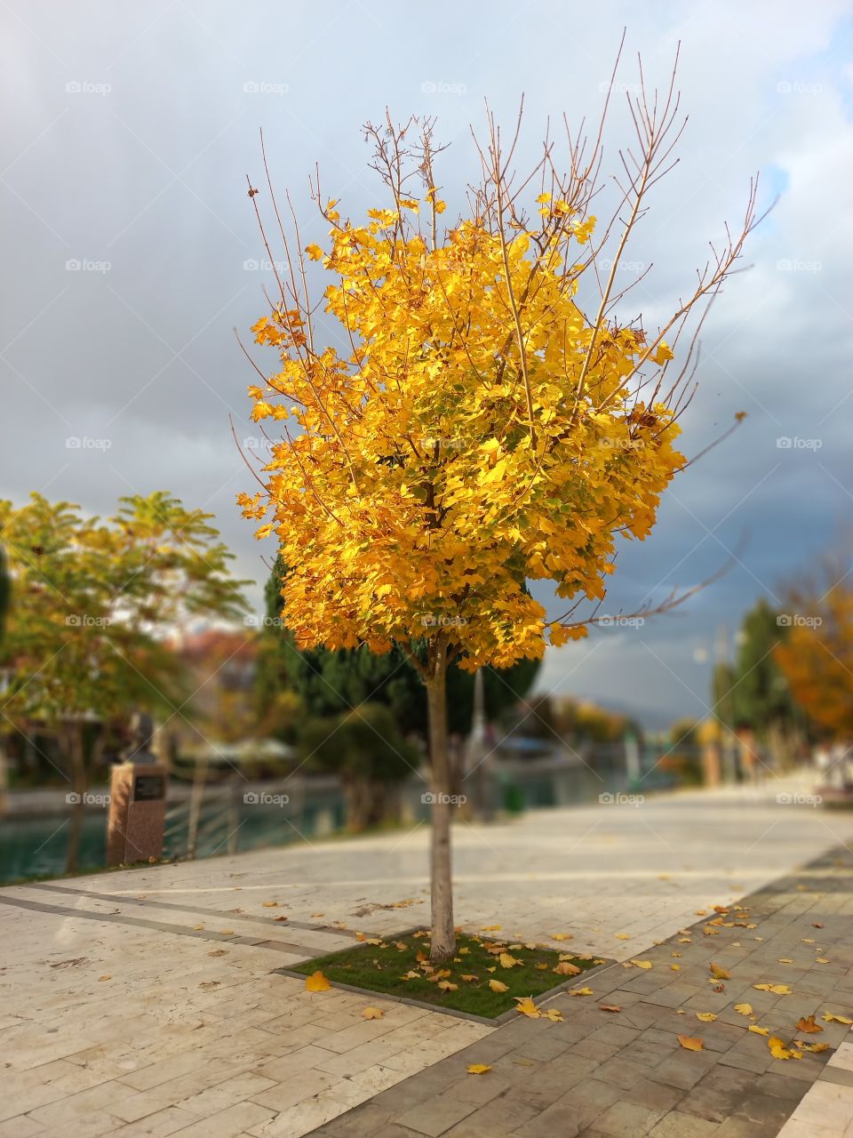 October Autumn