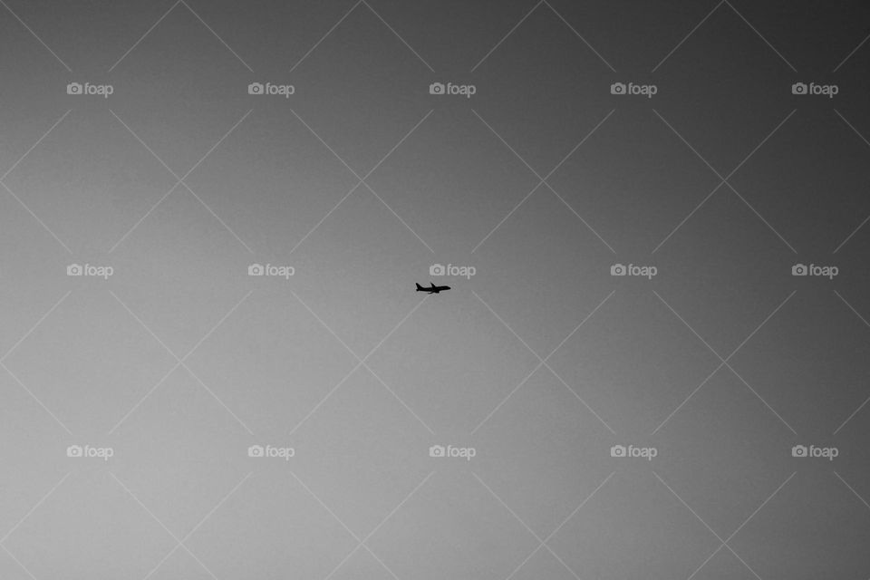Black and white photo of fly silhouette on the sky