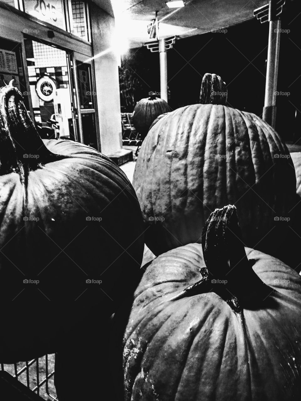 pumpkins on display