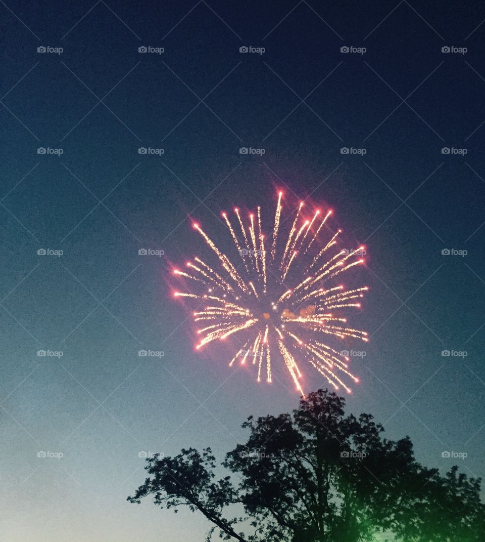 A beautiful pink sparkling firework in a  still blue sky at night. 