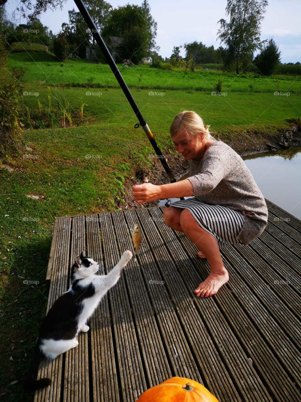 Delicious fish for cute cat