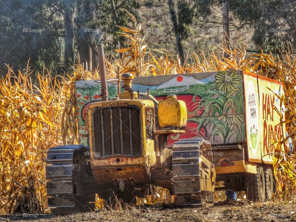 Hay Ride 