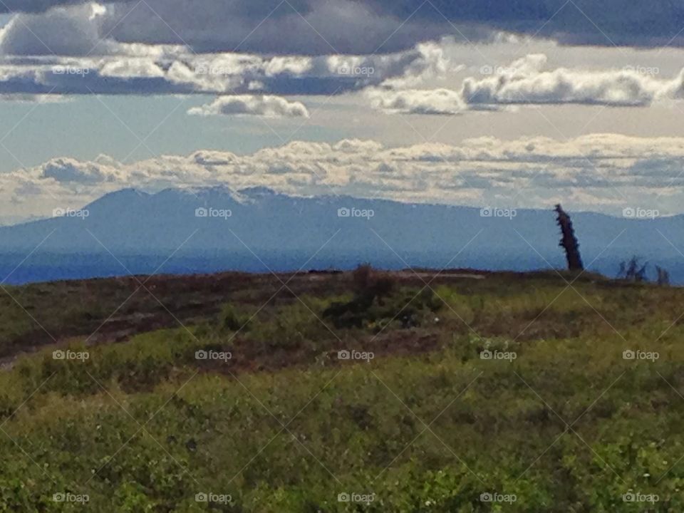 Alaska wilderness. A shot of beautiful Alaska scenery during an ATV adventure. 
