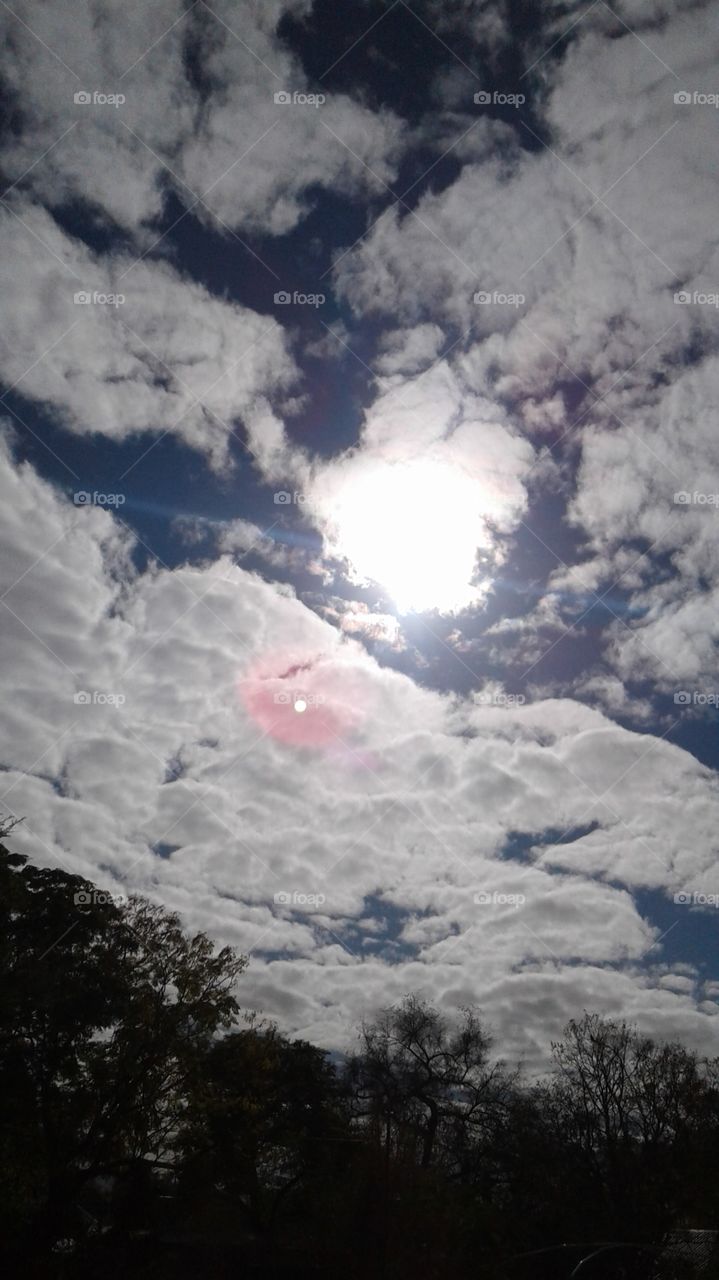 The sky looks like it is cotton