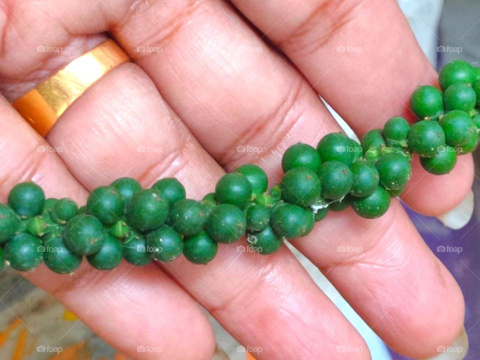 Indian Pepper Seed || also known as black pepper, is known as the king of spices. It is the oldest and most popular spice in the world and an important cash crop in Kerala.