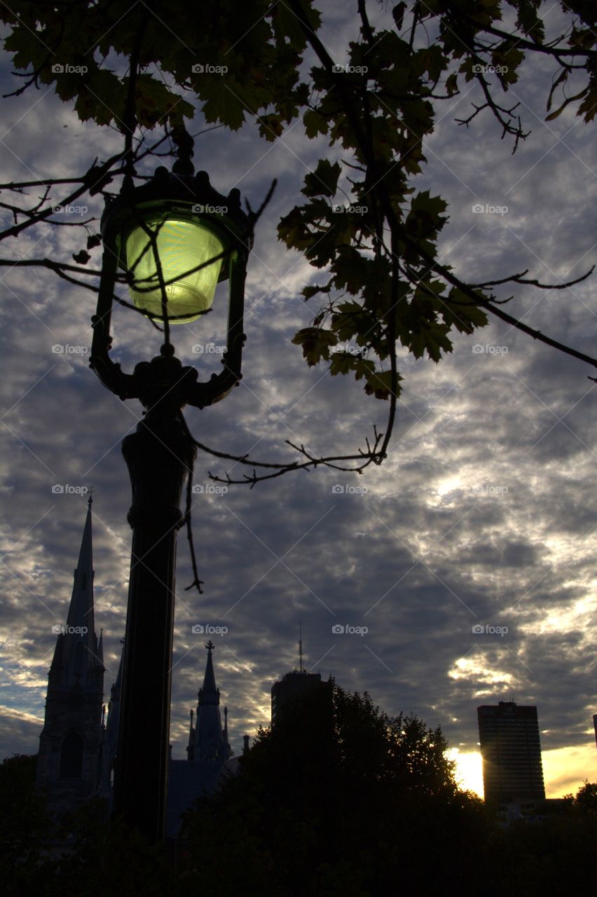 City lights at the park no one