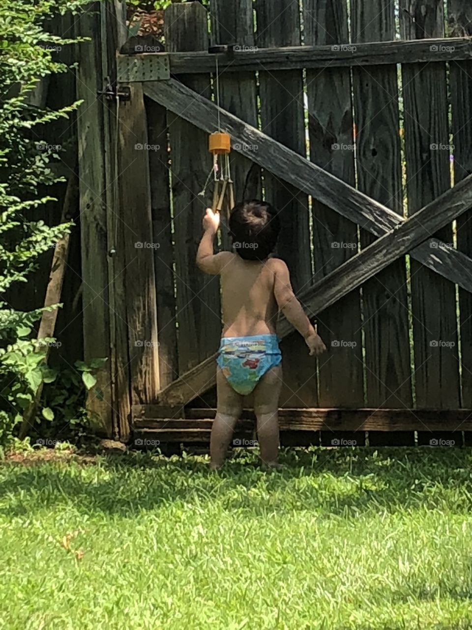 Twenty one month old in a swimmer at the gate in backyard ringing the chimes saying “Open”!