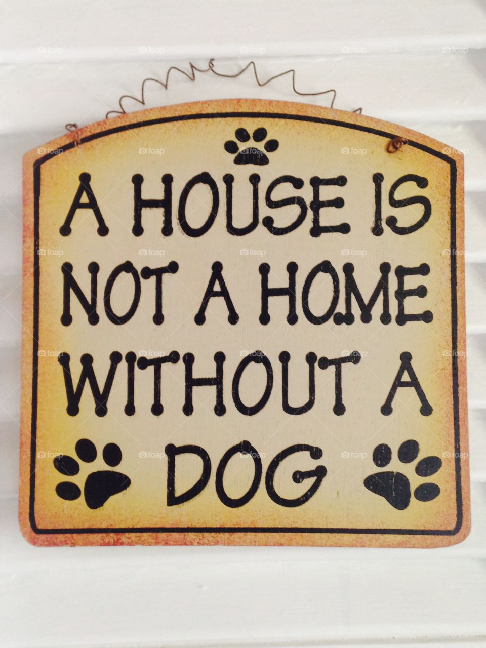 A house is not a home without a dog 