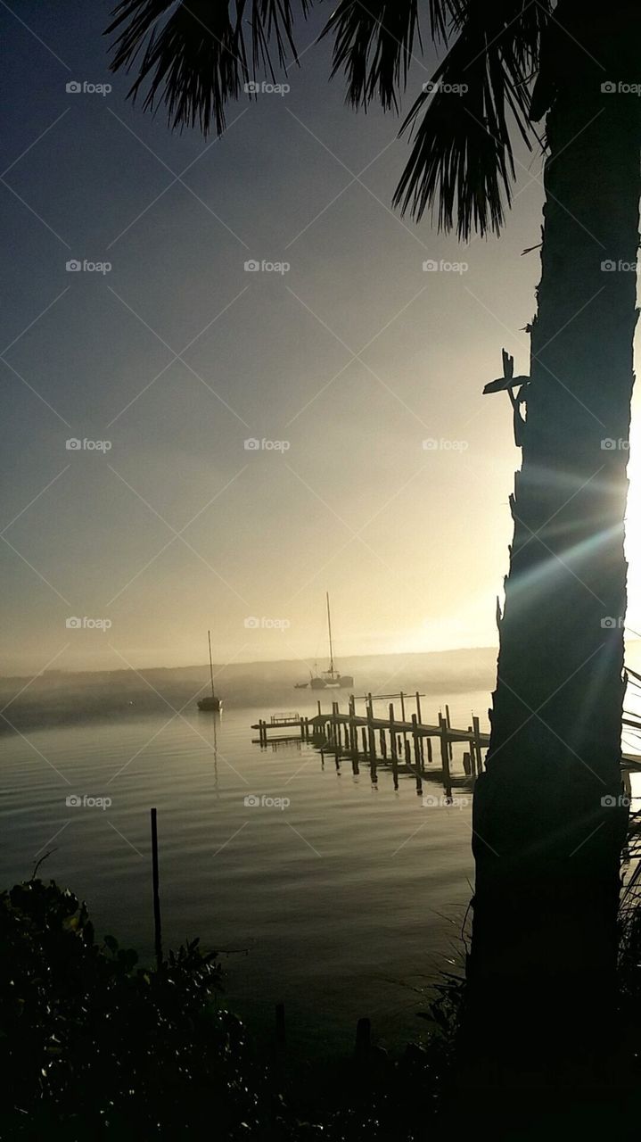 morning by the river