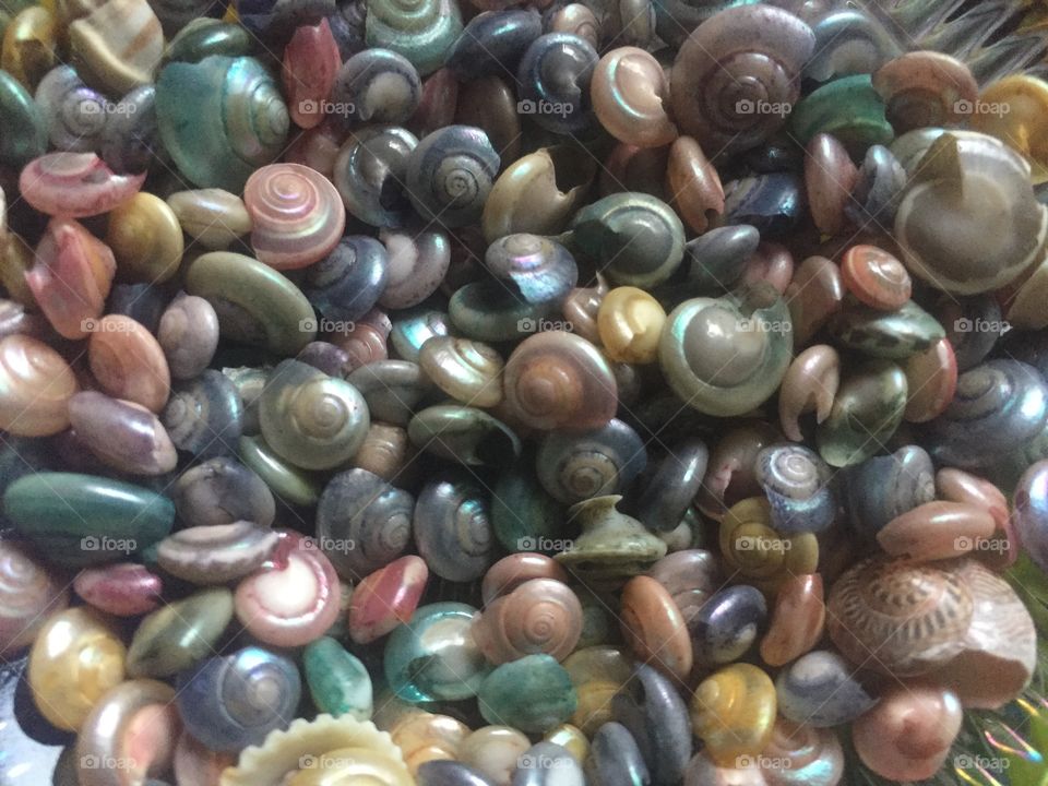 Shells