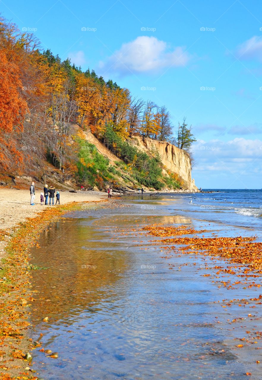 Water, No Person, Nature, Fall, Outdoors