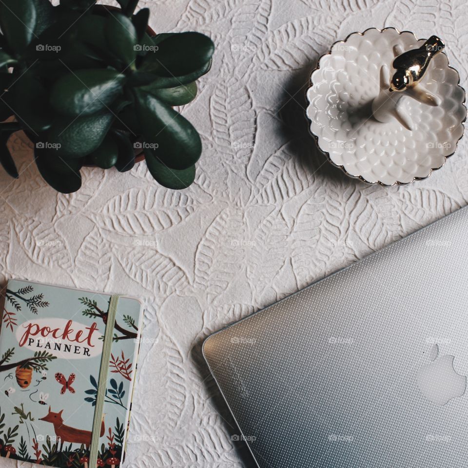 No Person, Desktop, Decoration, Flower, Christmas