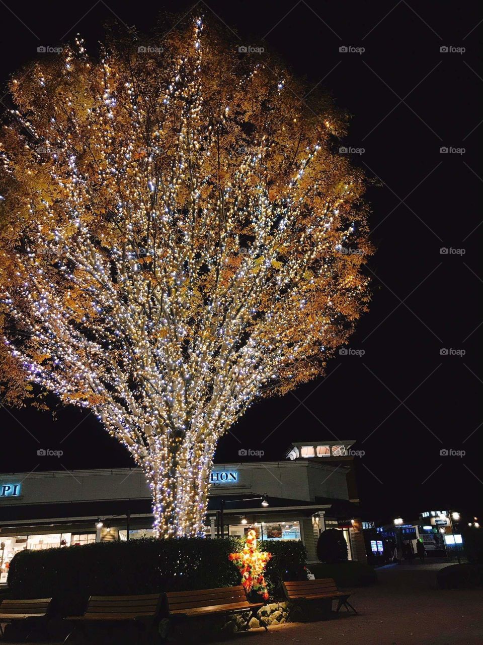 tree with lights