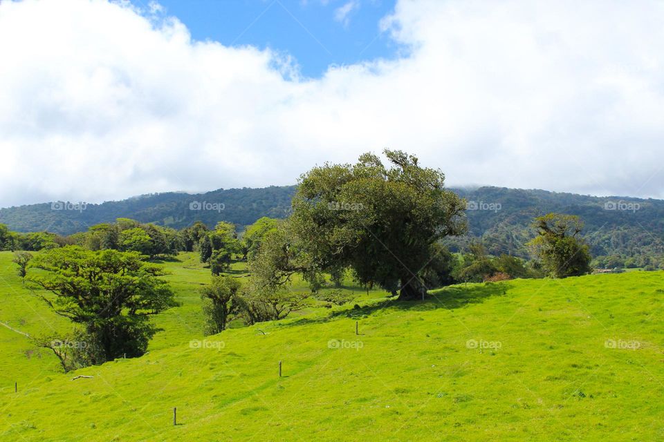 Summer tropical landscape.  Beautiful green hills with lush tropical vegetation.  Costa Rica