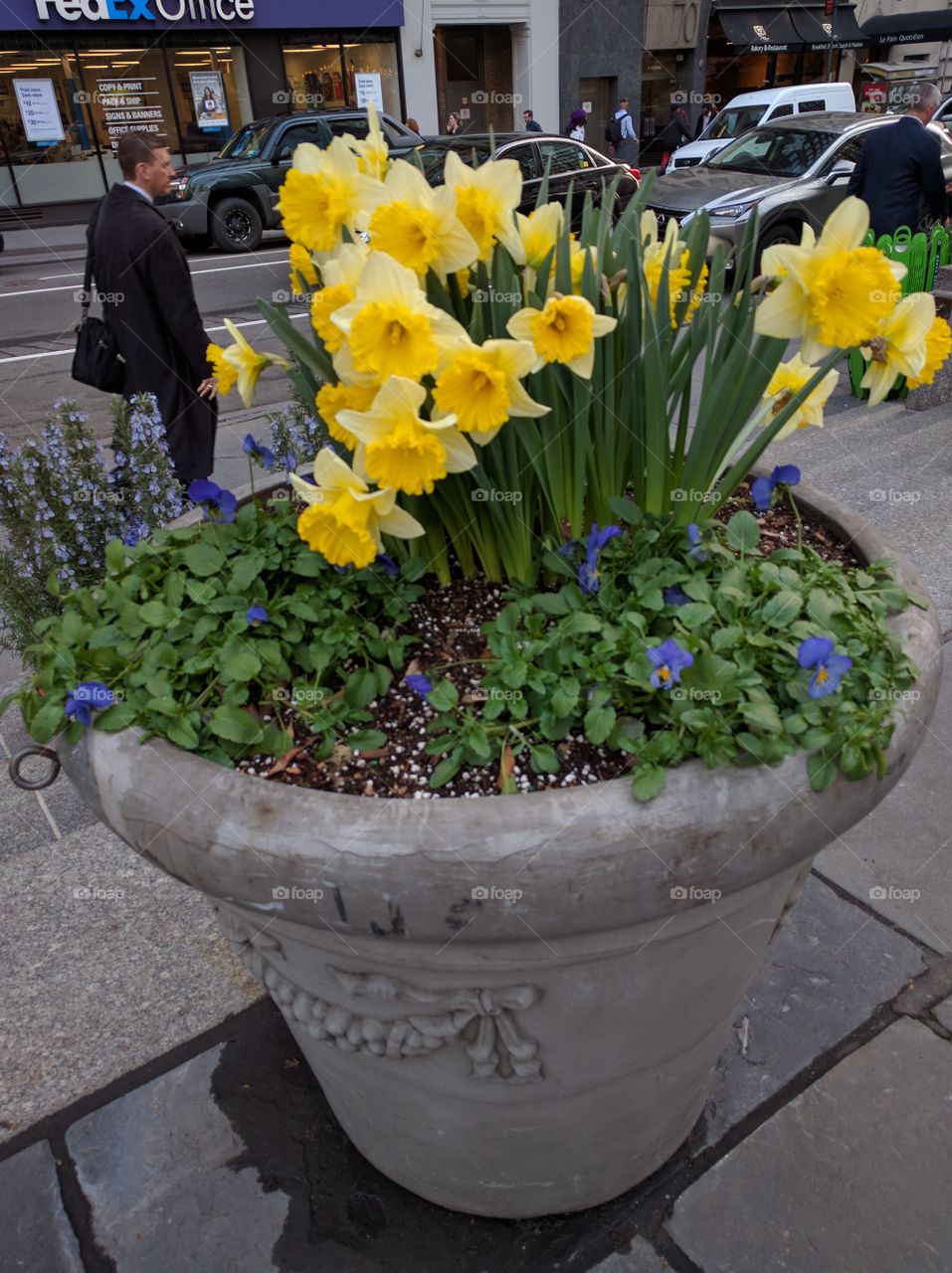 Spring flowers box at Bryant Park