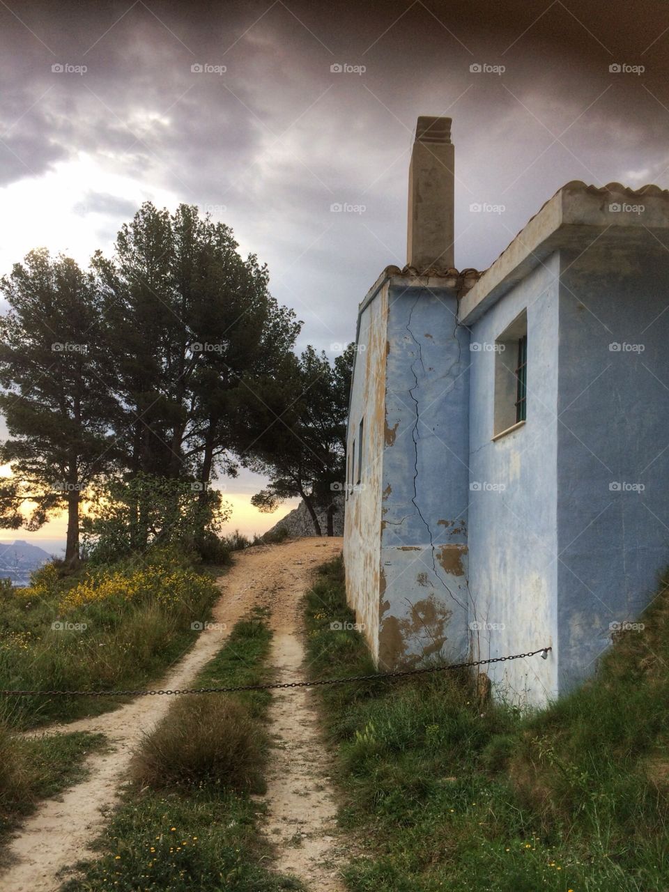 House in nature