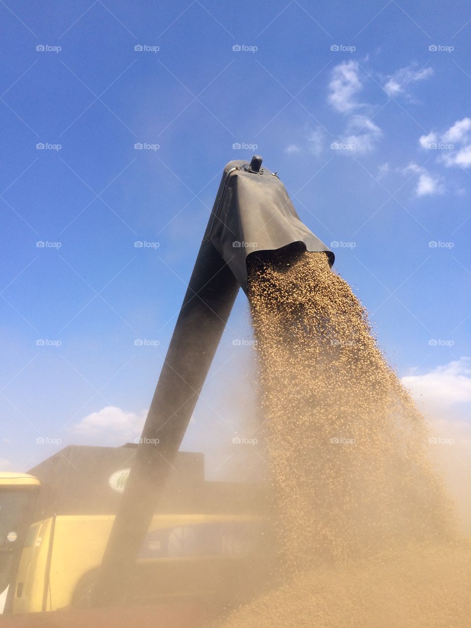 Harvesting soya