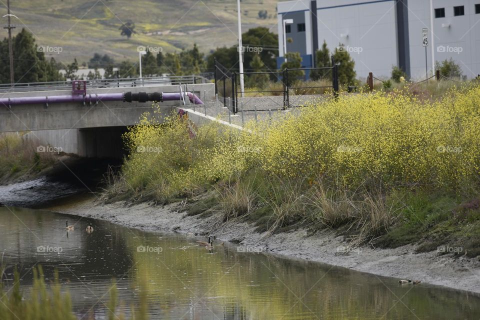 Creek flowing under a bridge.