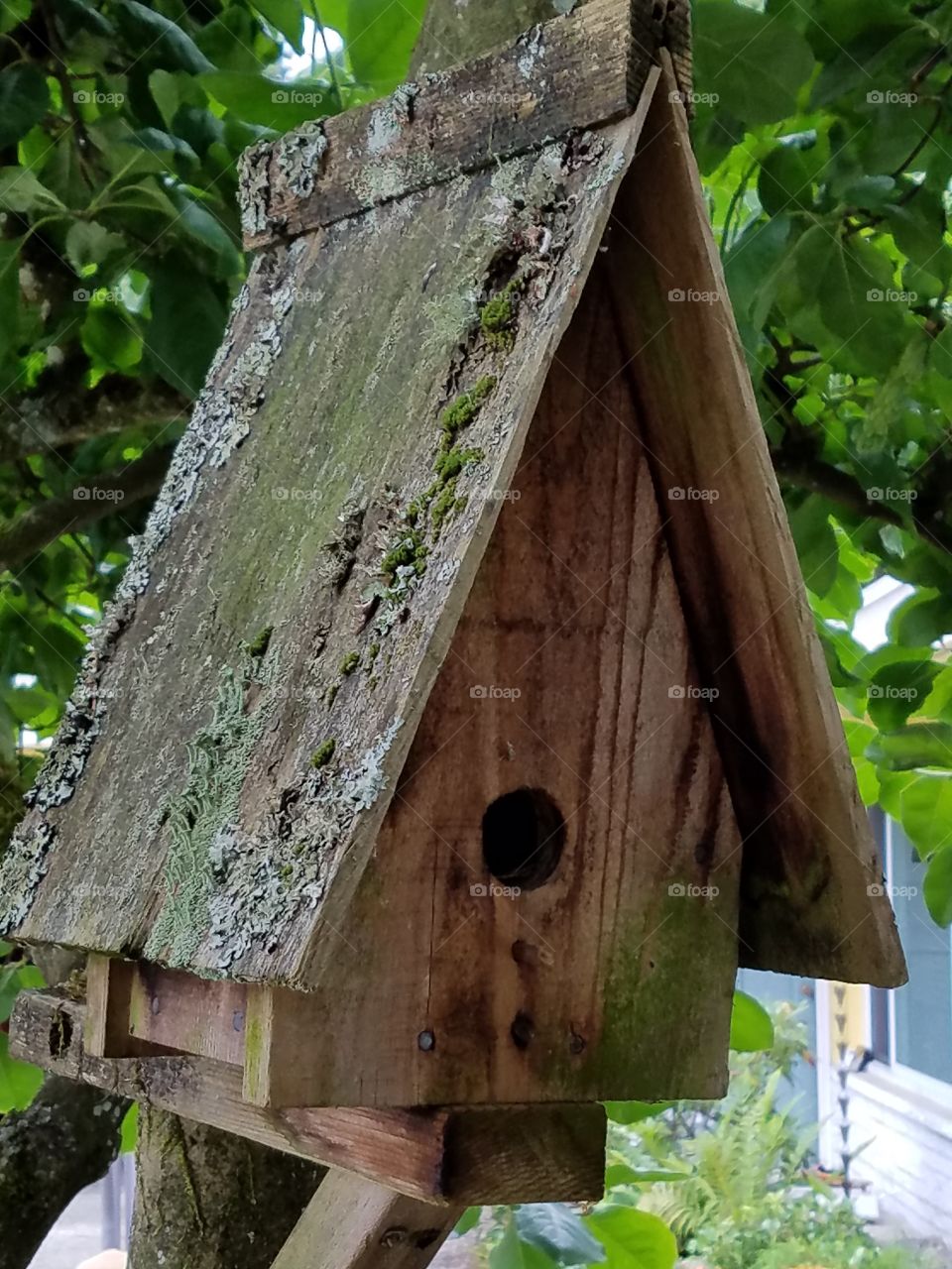 weathered birdhouse