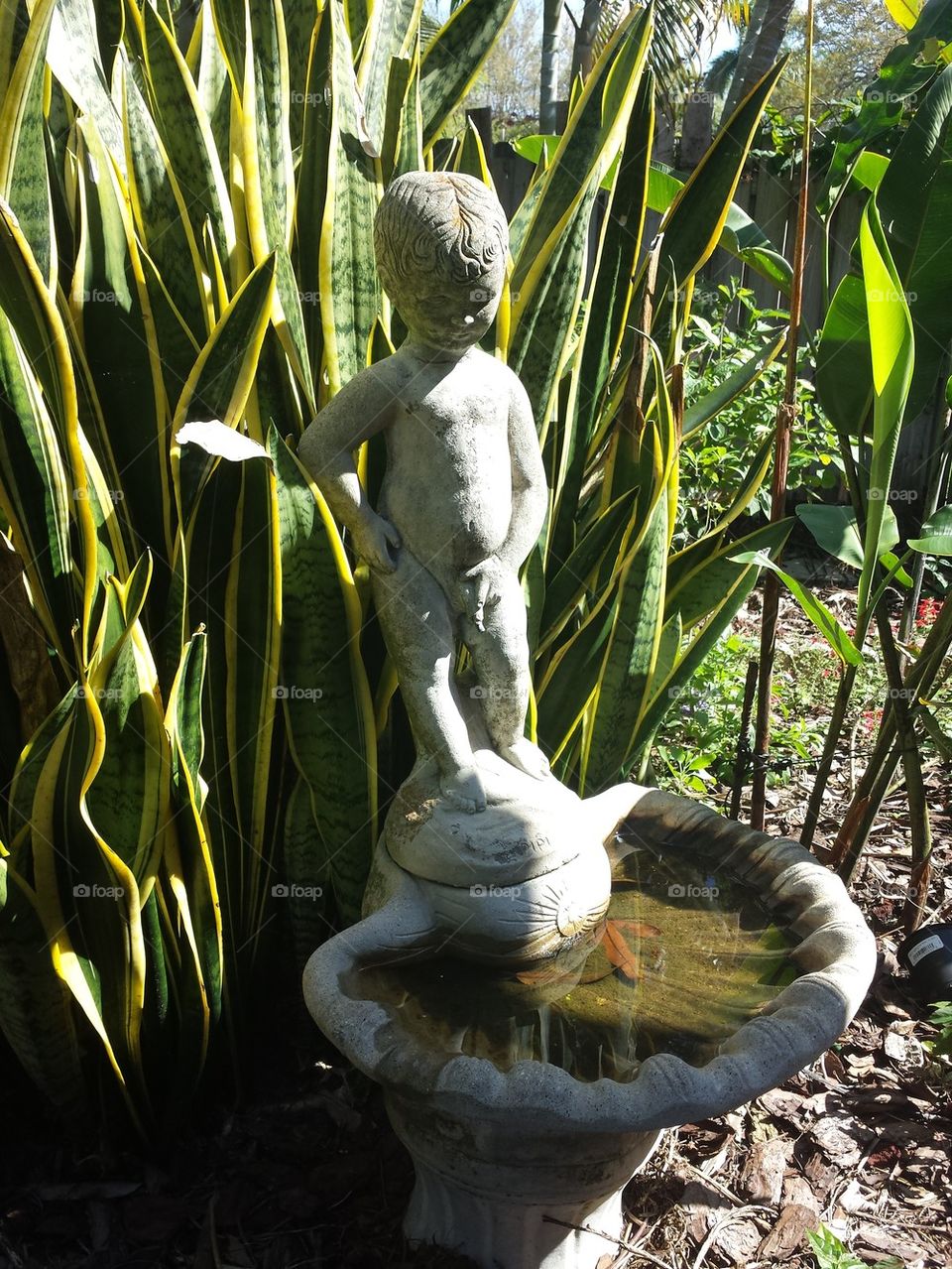 peeing boy fountain birdbath 
