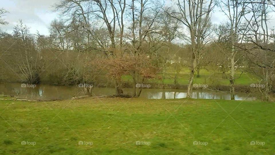 River Green area Park for Hiking Beautiful scenery Green grass trees France Loir et cher saint Aignan City