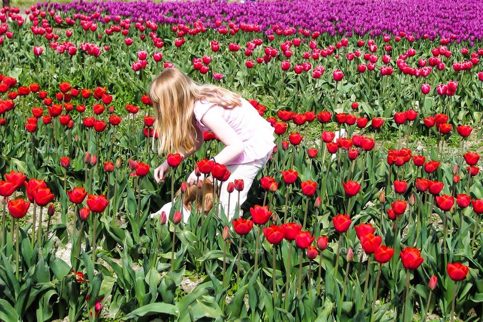 Girl with tulips